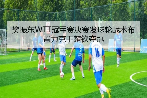 樊振东WTT冠军赛决赛发球轮战术布置力克王楚钦夺冠